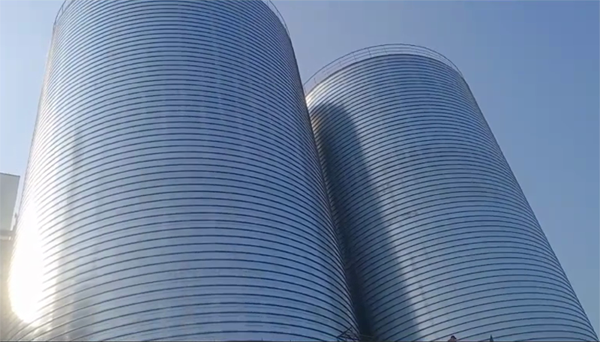 若羌2座混凝土高架卷板仓